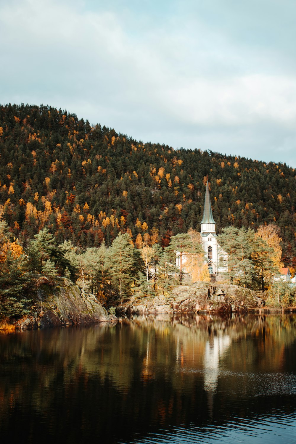 reflection of trees on body of water during daytime