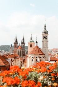 brown and white building during daytime