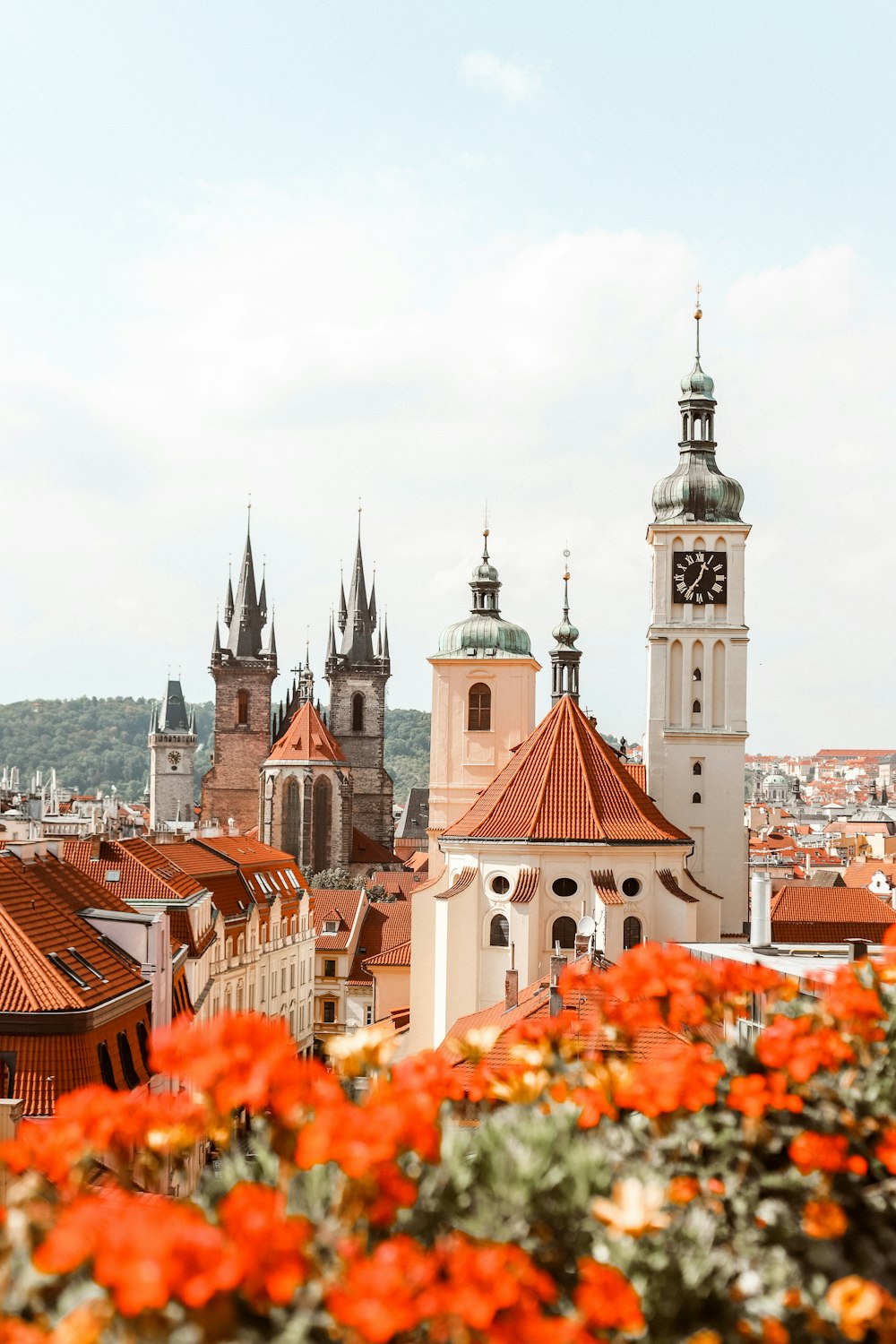 Braunes und weißes Gebäude tagsüber