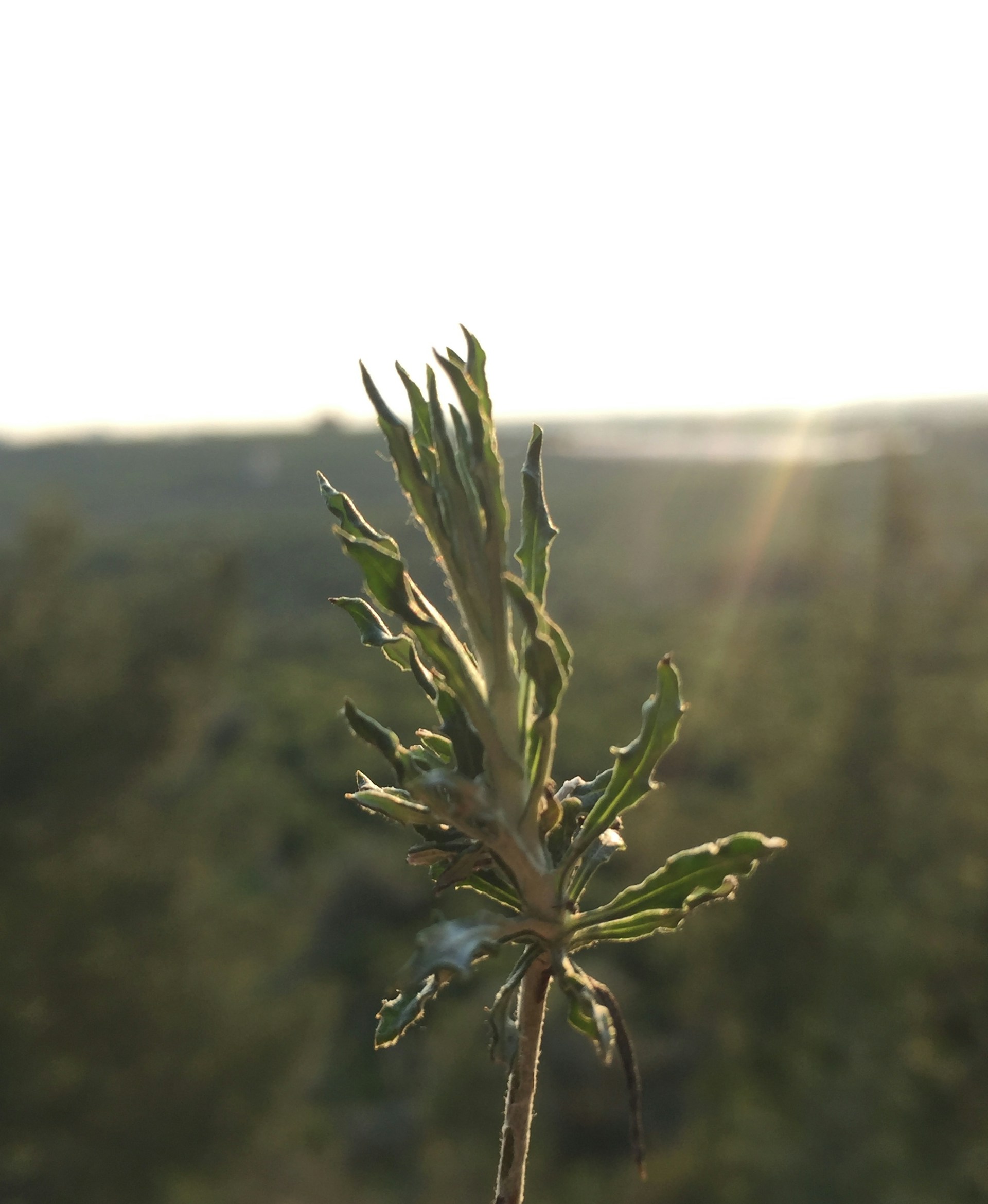 gray computer monitor