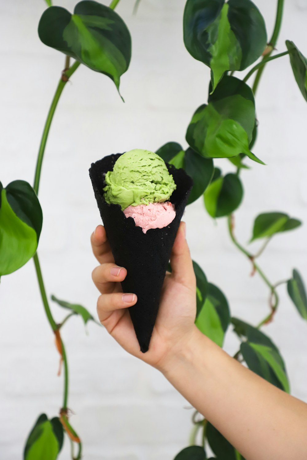 person holding black cone with ice cream