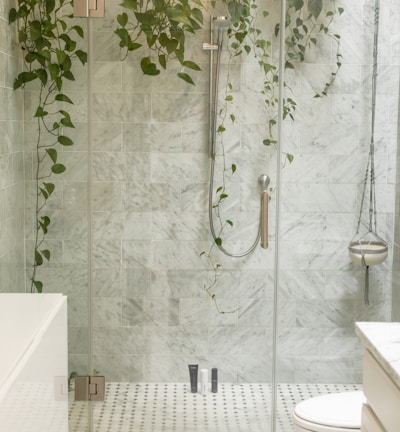 clear shower stall