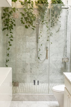 clear shower stall