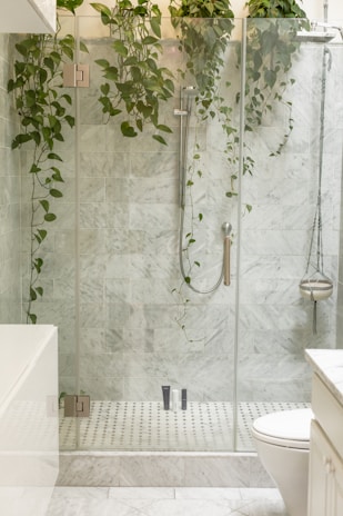 cleaned and sealed grout shower stall