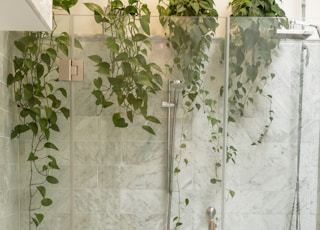 clear shower stall