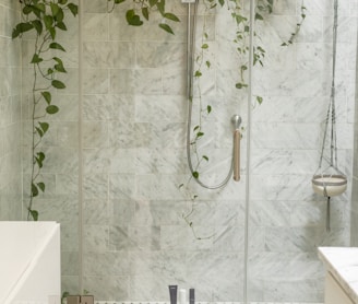 clear shower stall