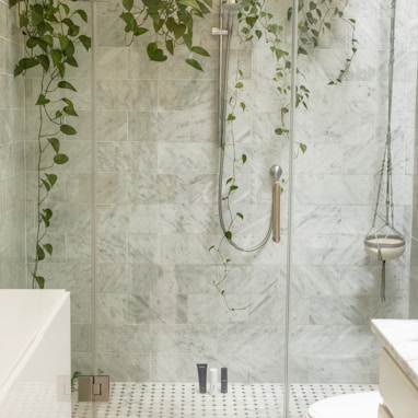 clear shower stall