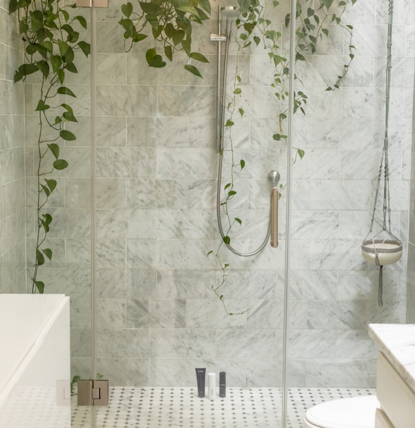 clear shower stall