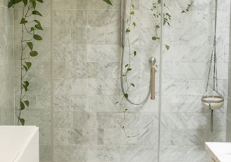 clear shower stall