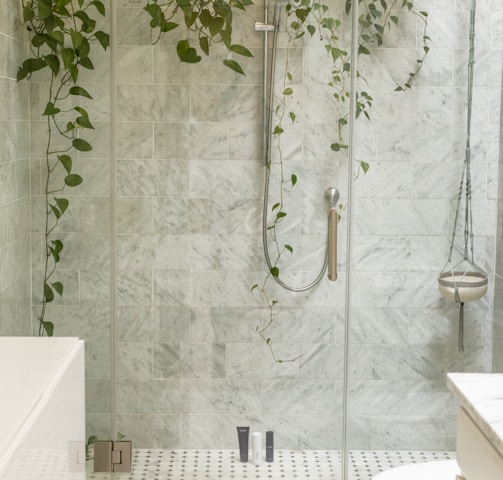 clear shower stall