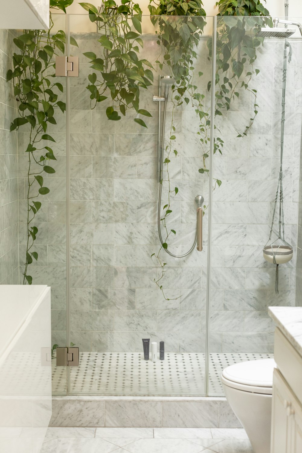 A shower room with plants.
