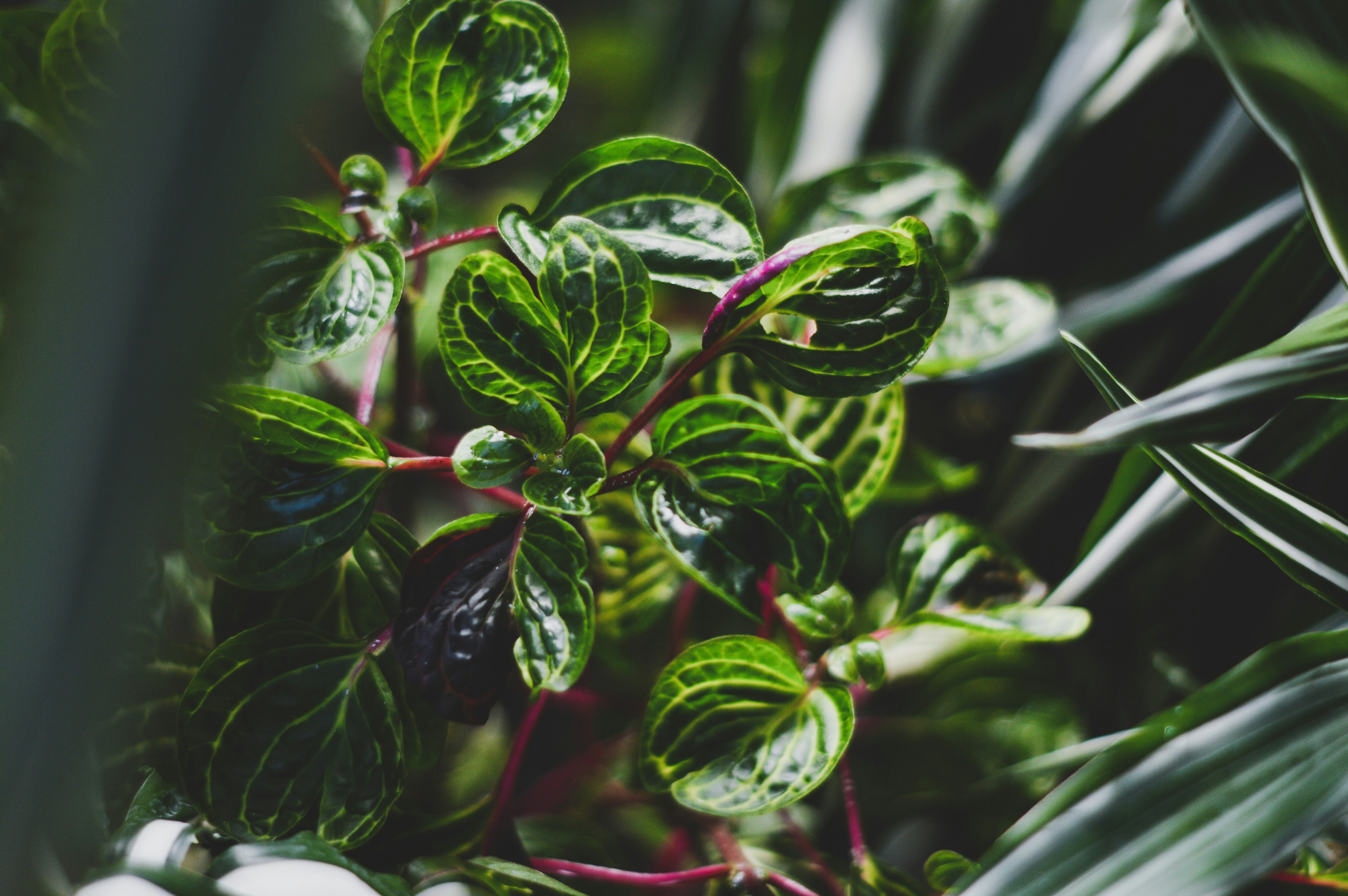 Photo by ruisilvestrecreative