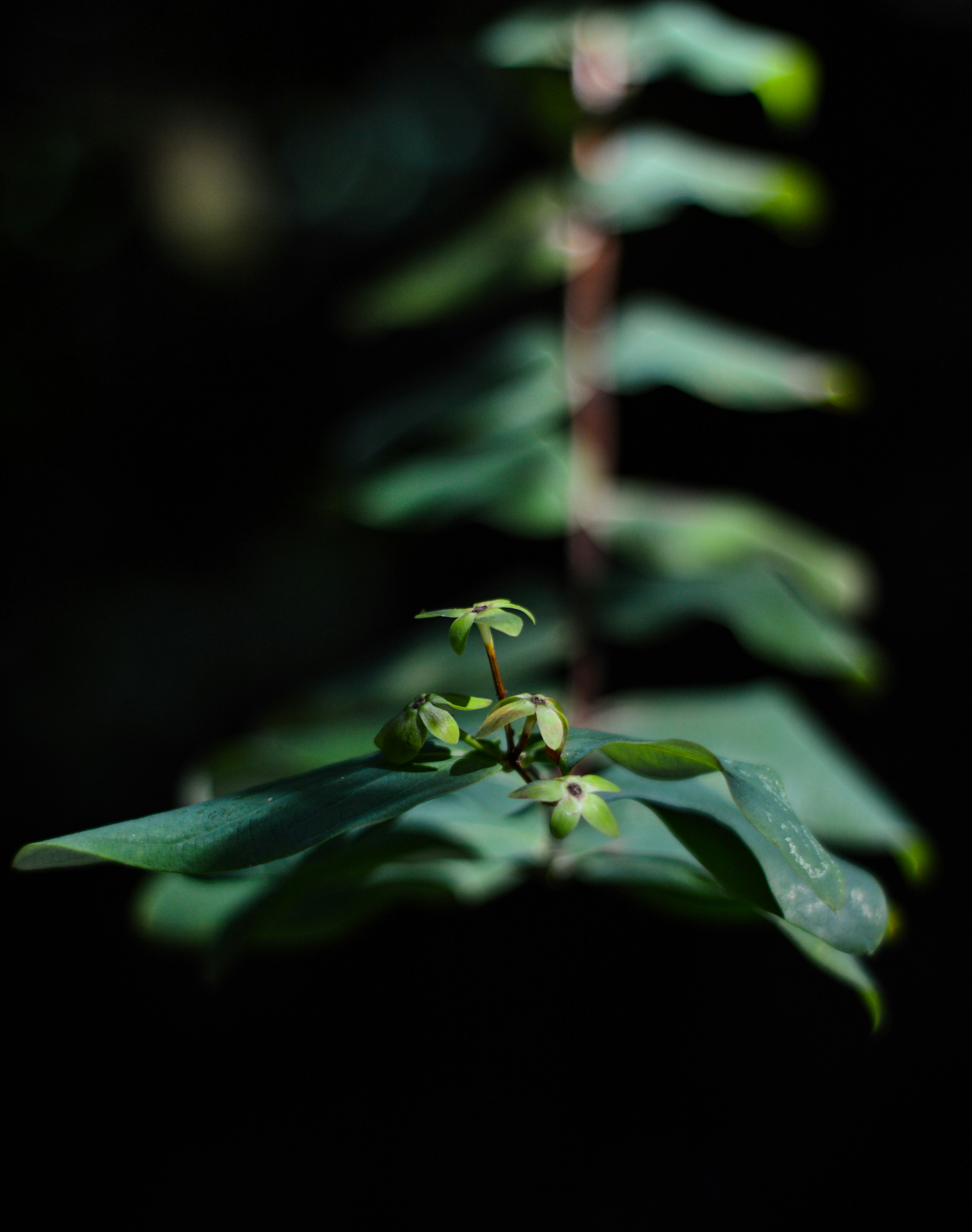 Photo by ruisilvestrecreative