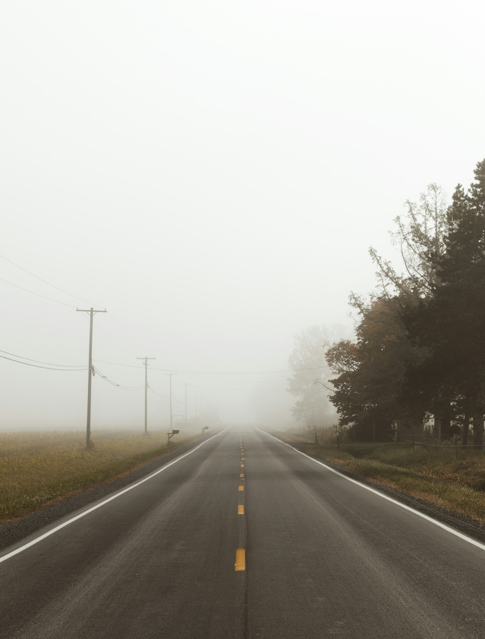 Canon EOS 70D sample photo. Foggy concrete road photography