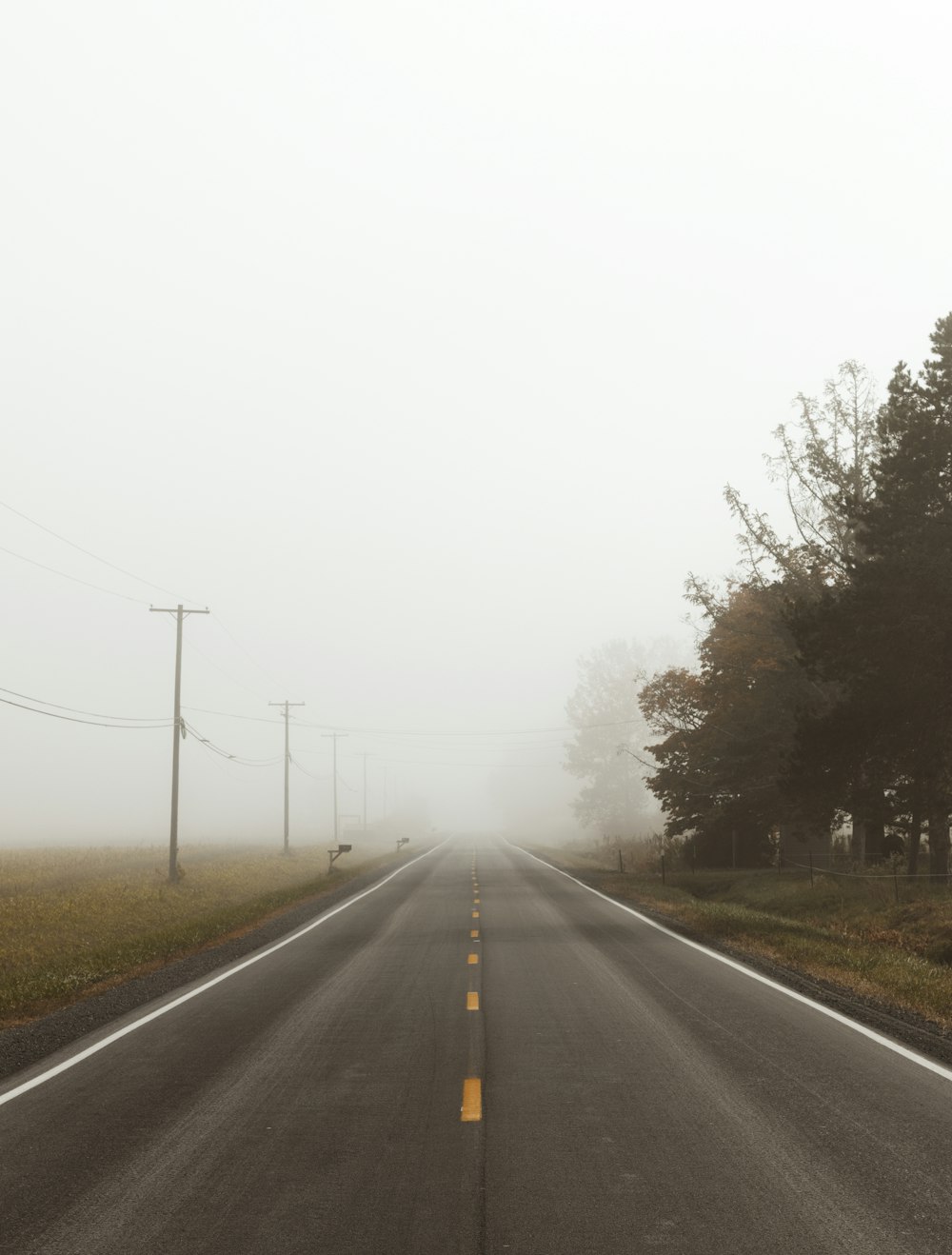 foggy concrete road