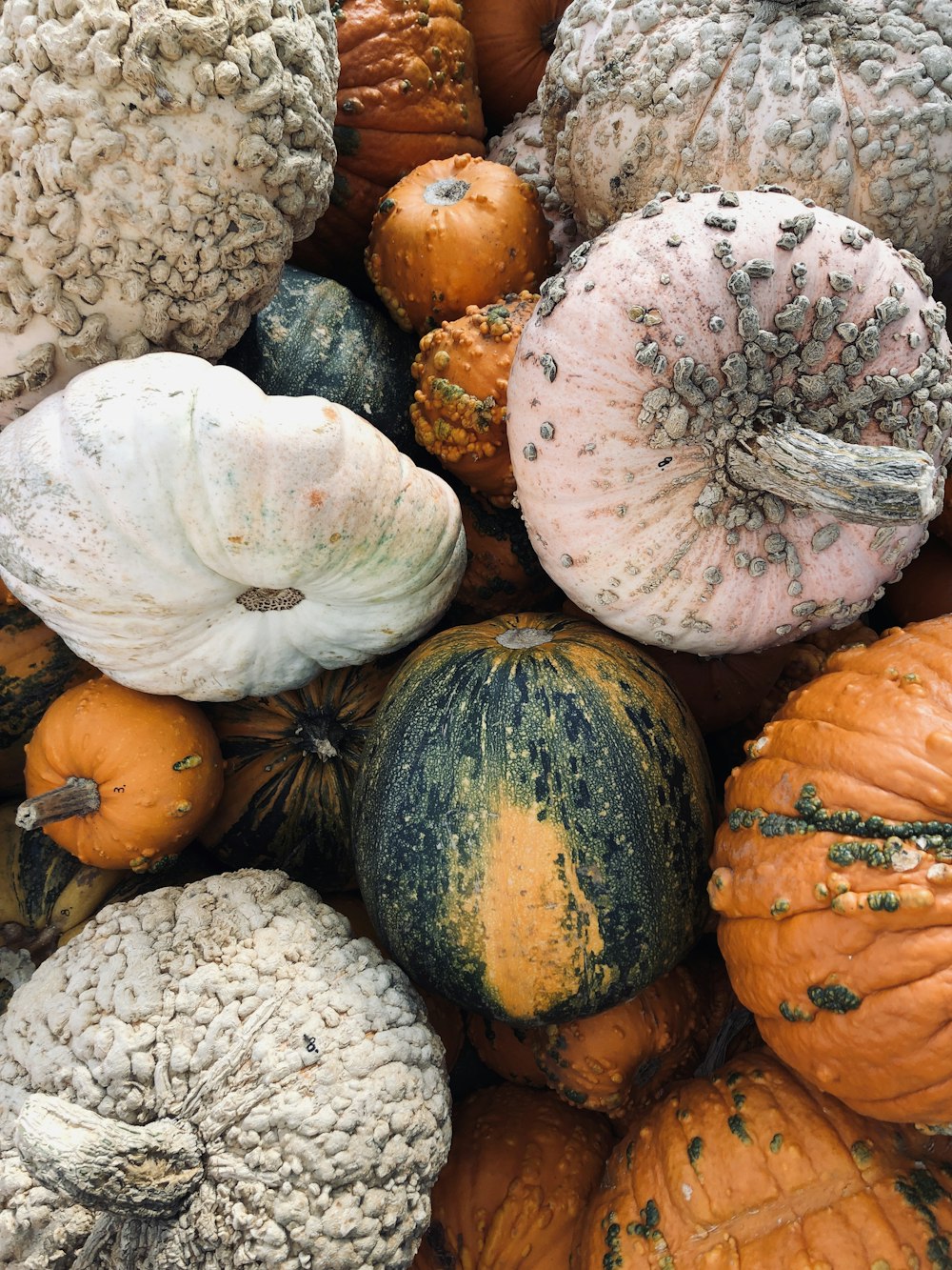 stack of pumpkin