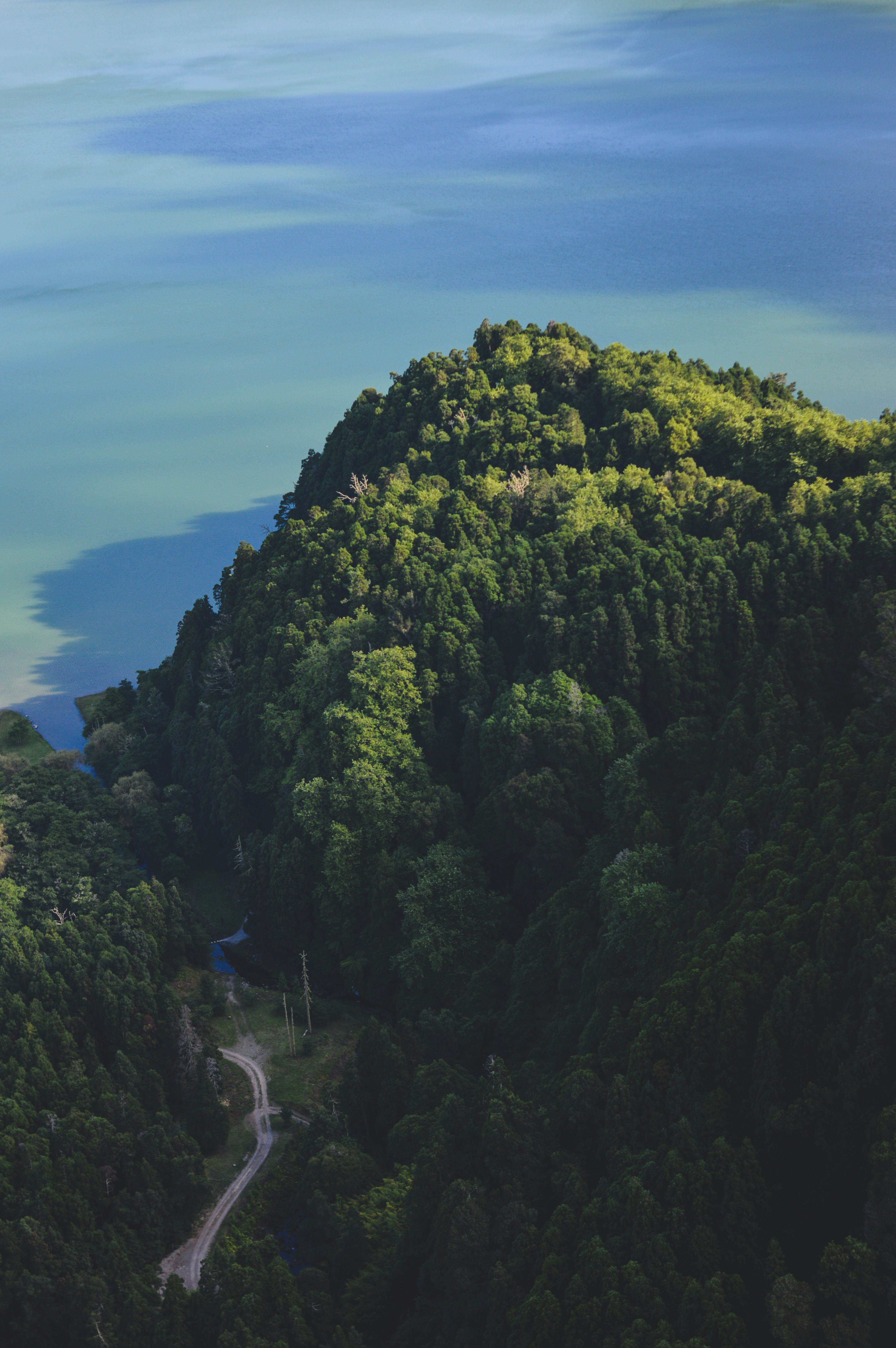 Photo by ruisilvestrecreative