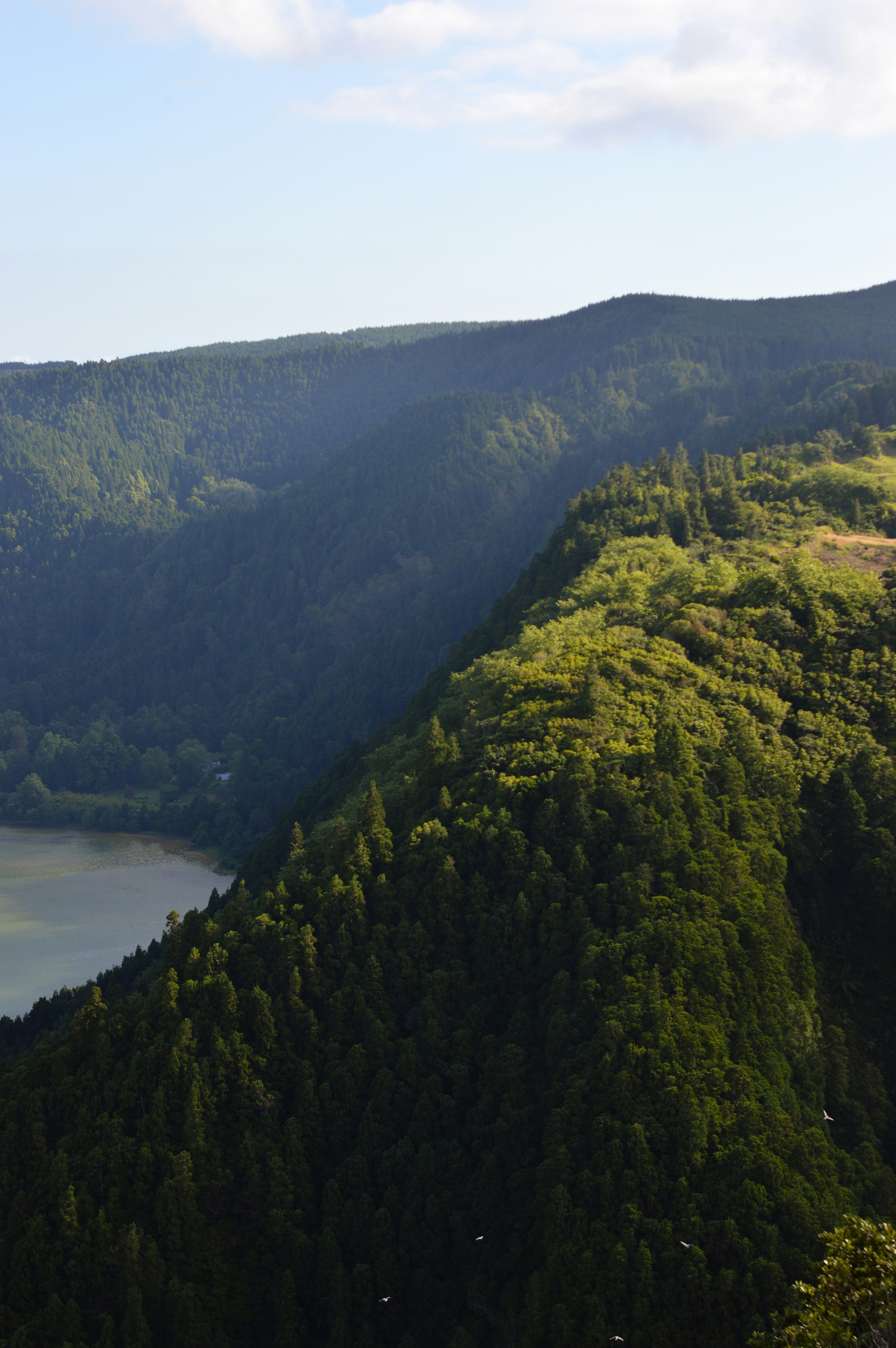 Photo by ruisilvestrecreative