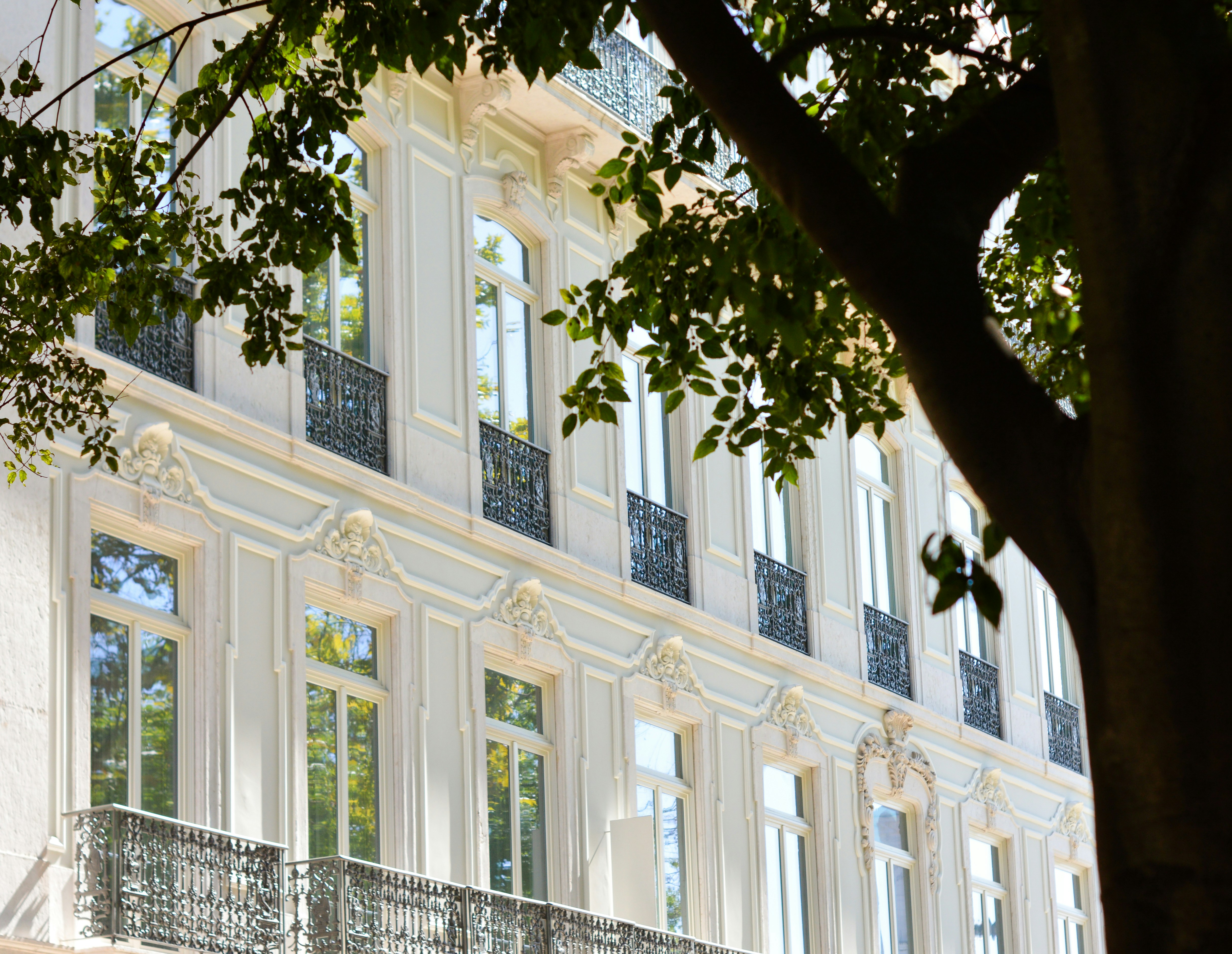 Photo by ruisilvestrecreative