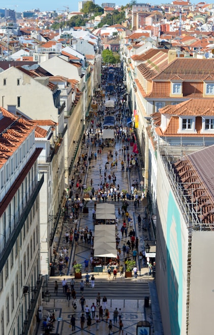 people walking on paved road