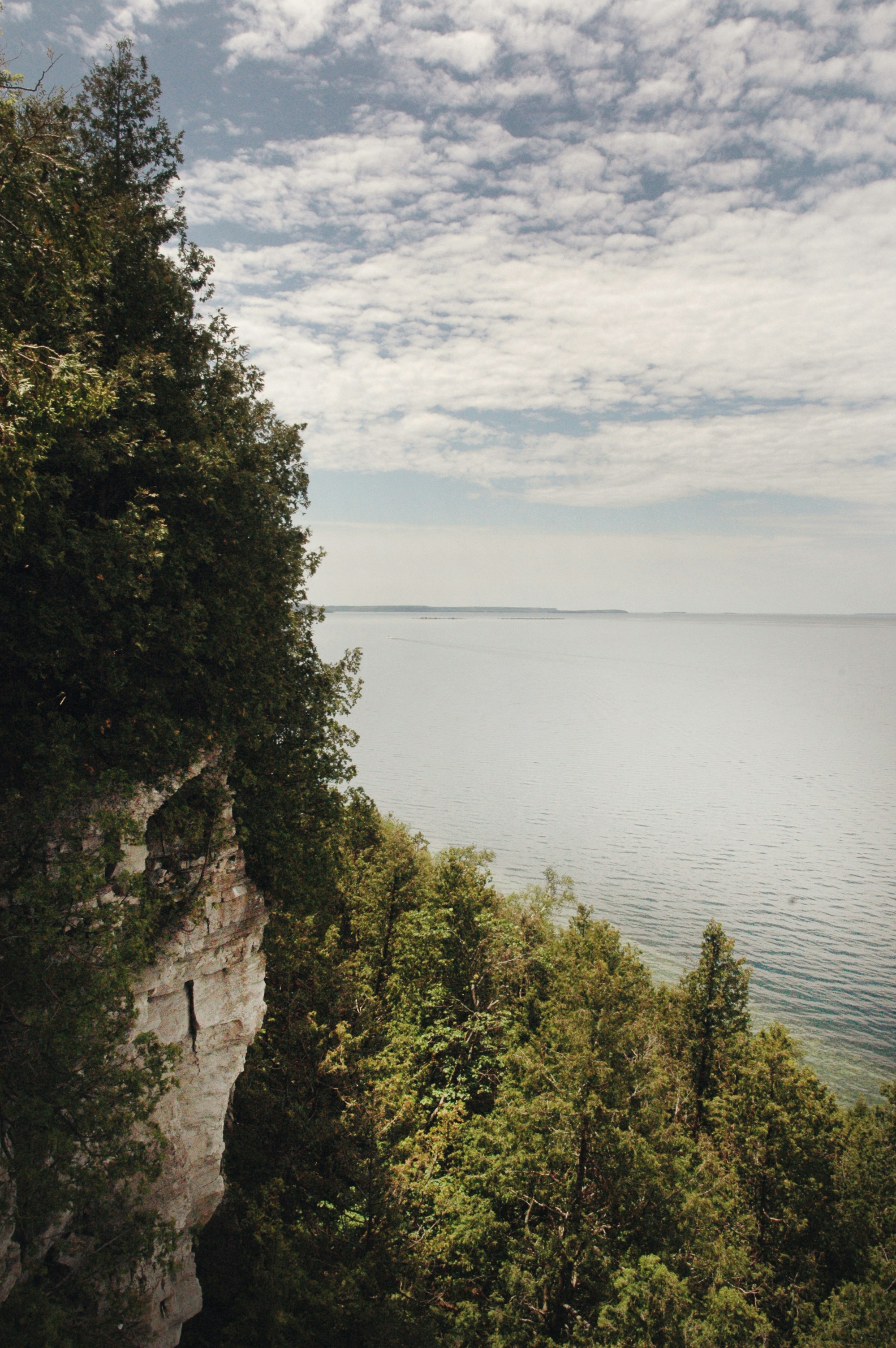 View from a bluff in Wisconsin's Door County, overlooking Lake Michigan with a lush green forest below along the shoreline.