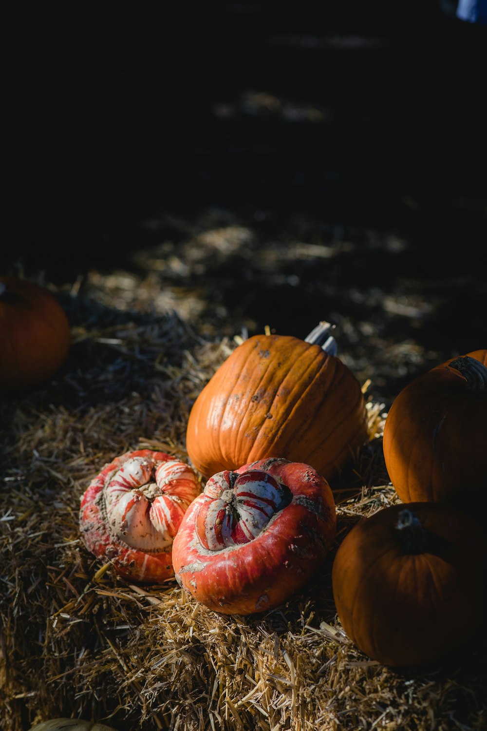 orange pumpkins