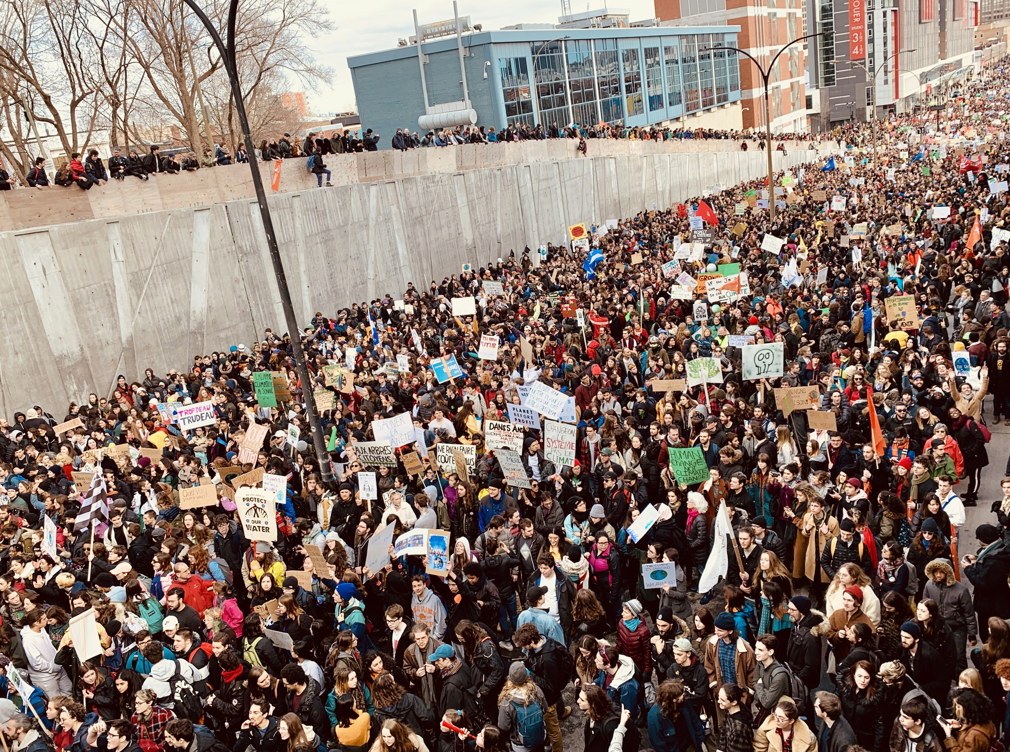 high angle photo of people