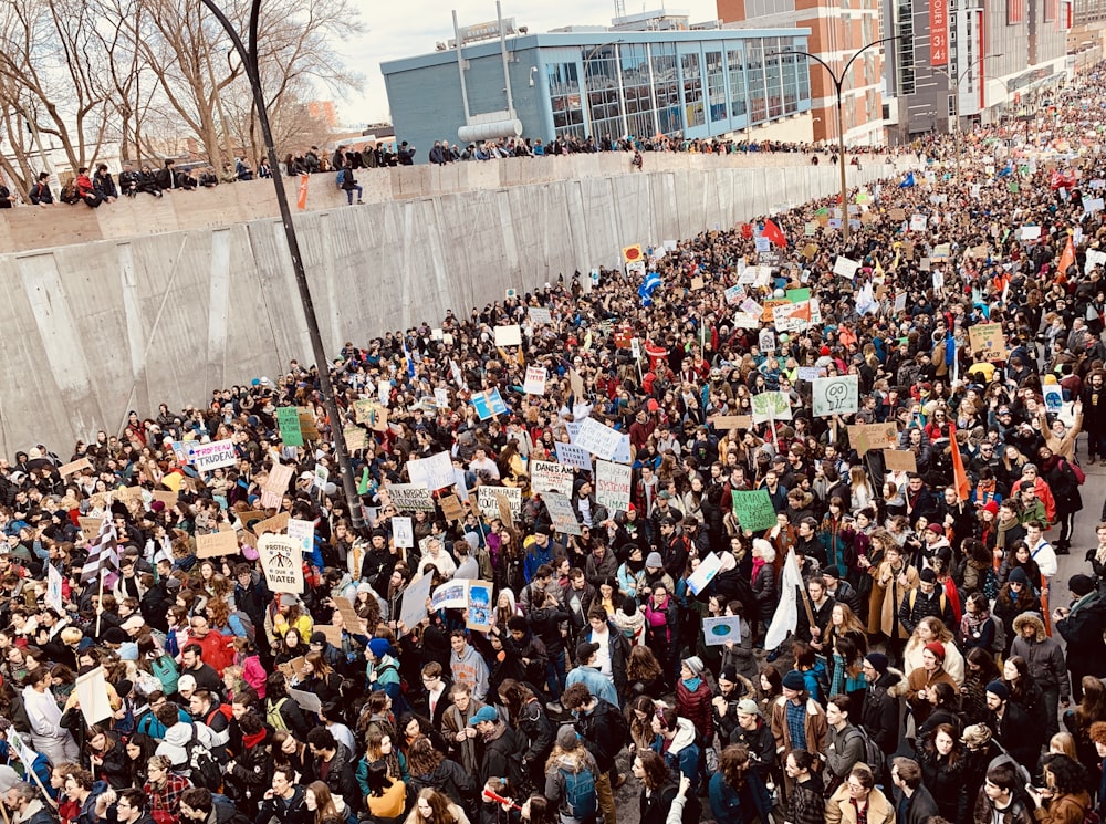 high angle photo of people