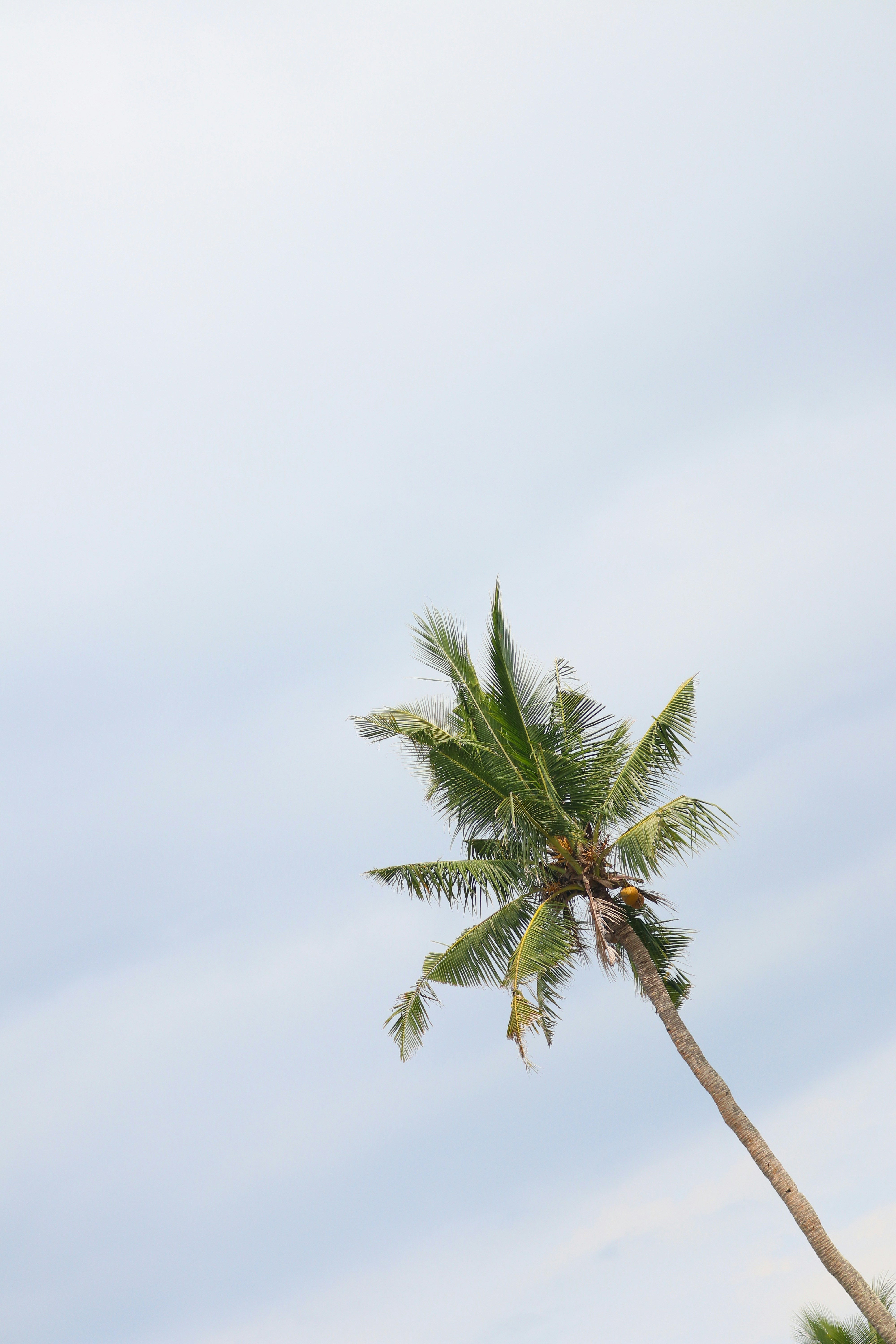 Photo by zeshalynkristine