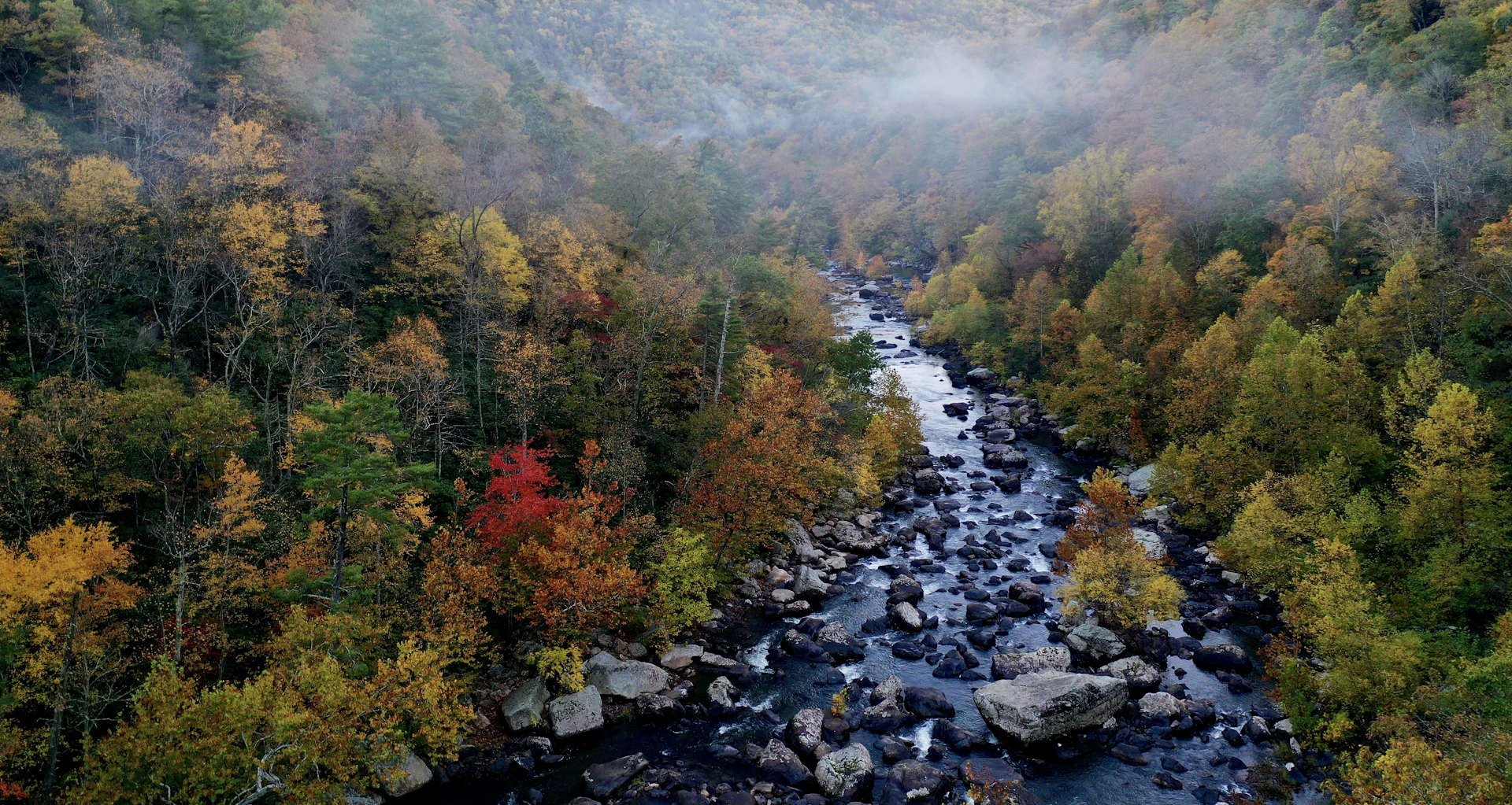 river between green trees