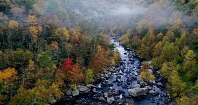 river between green trees virginia zoom background