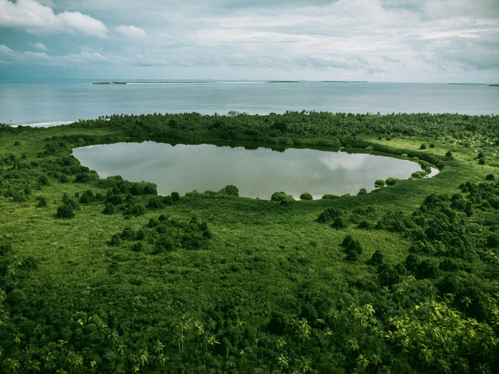 photo of green island