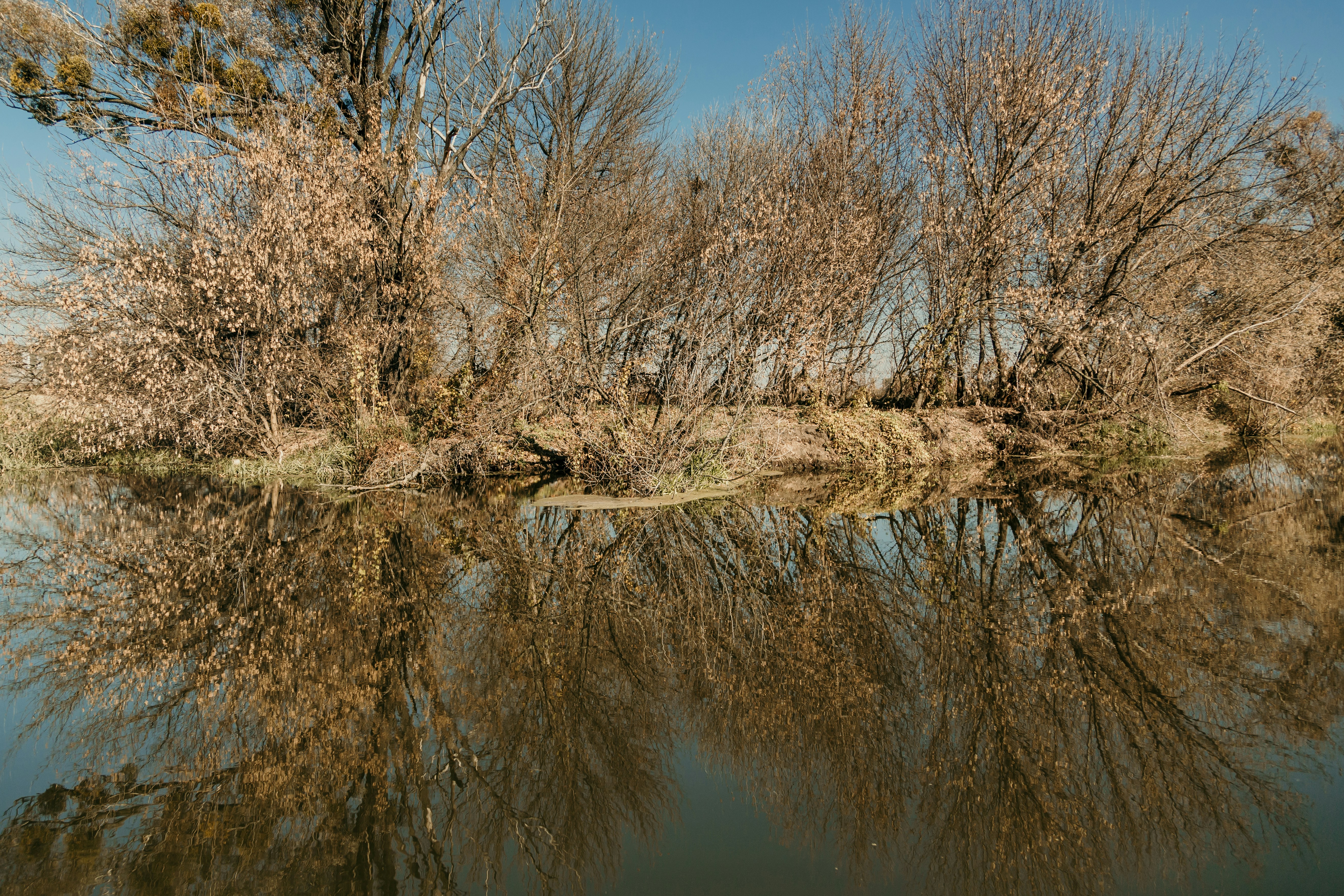 Photo by marjan_blan