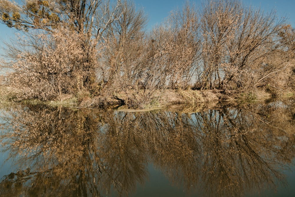 islet beside body of water view during daytime