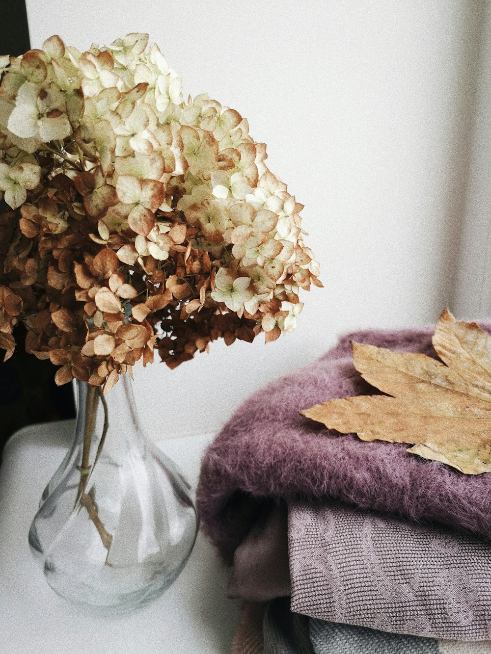 white and brown hydrangea flowers on vase