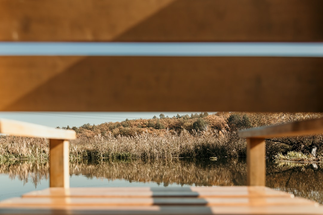 brown wooden chair