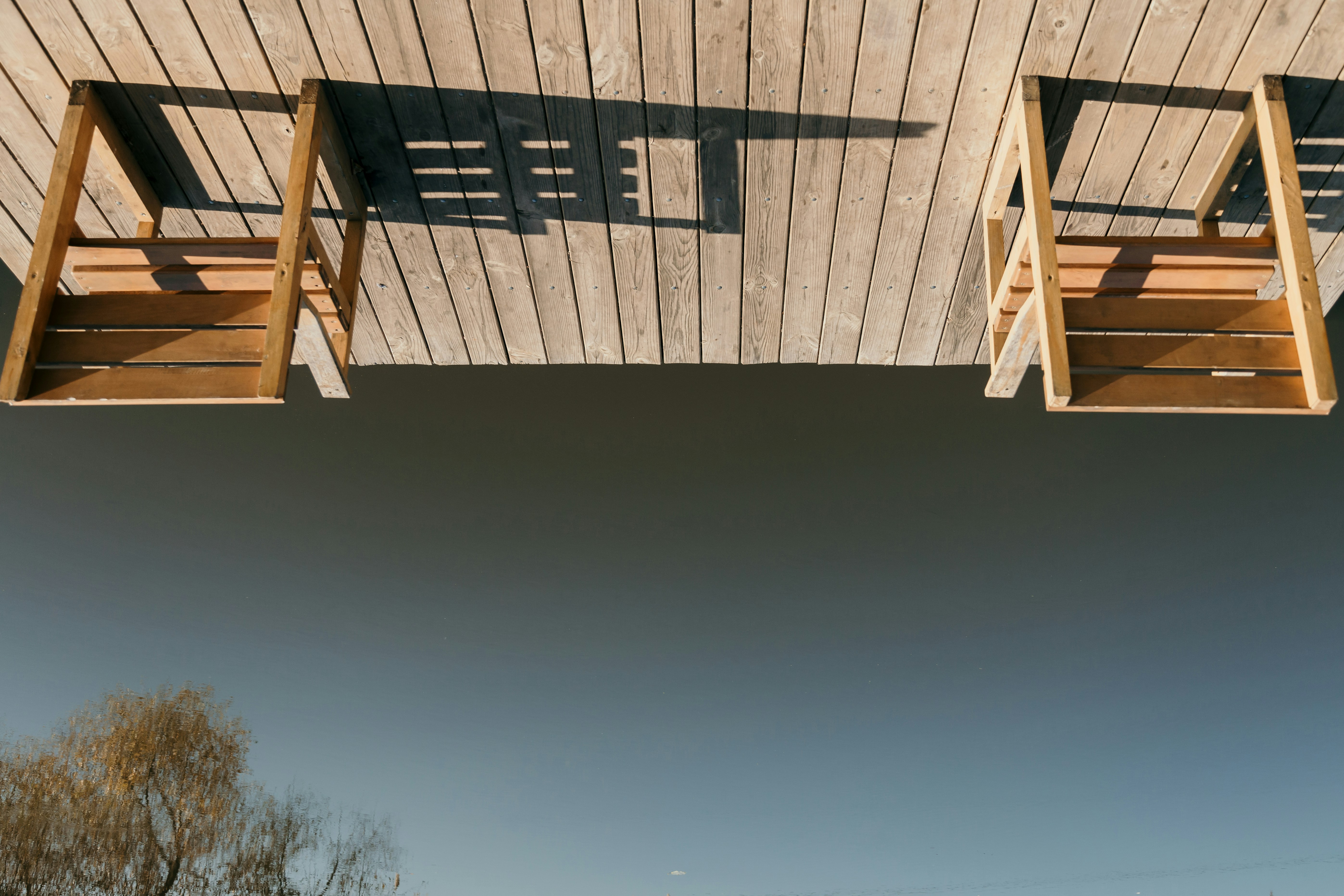 Photo by marjan_blan