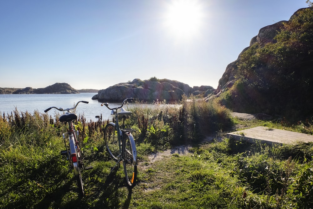 two bicycles on green grass field