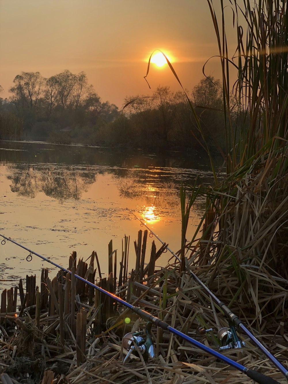 two fishing rods stuck on grouns