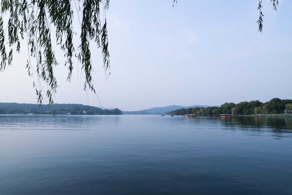 calm body of water