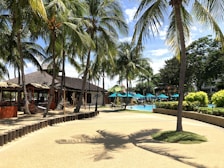 Outdoor patio with tropical plants and hammocks under shaded pergolas.