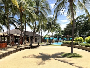 A tropical outdoor setting with tall palm trees lining a sunlit walkway. A thatched-roof building with open seating areas and hammocks is on the left. There is a swimming pool in the background surrounded by blue umbrellas and greenery. The shaded ground is dotted with small grassy patches.