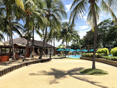 A tropical outdoor setting with tall palm trees lining a sunlit walkway. A thatched-roof building with open seating areas and hammocks is on the left. There is a swimming pool in the background surrounded by blue umbrellas and greenery. The shaded ground is dotted with small grassy patches.