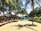 A tropical outdoor setting with tall palm trees lining a sunlit walkway. A thatched-roof building with open seating areas and hammocks is on the left. There is a swimming pool in the background surrounded by blue umbrellas and greenery. The shaded ground is dotted with small grassy patches.