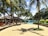 A tropical outdoor setting with tall palm trees lining a sunlit walkway. A thatched-roof building with open seating areas and hammocks is on the left. There is a swimming pool in the background surrounded by blue umbrellas and greenery. The shaded ground is dotted with small grassy patches.