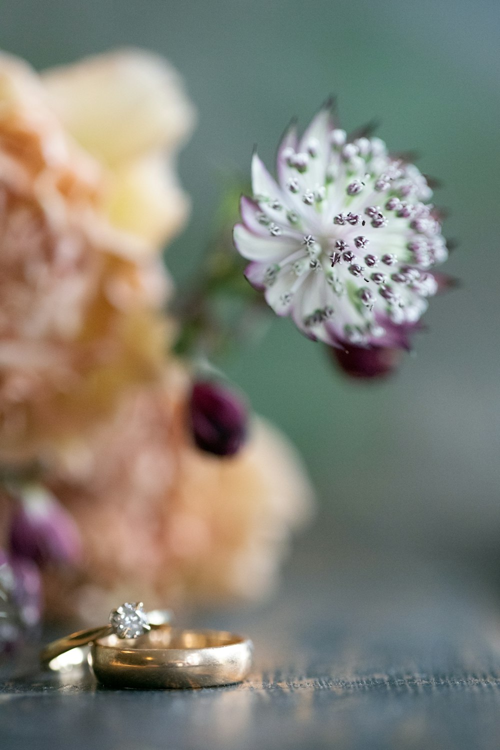 shallow focus photo of white and purple flower