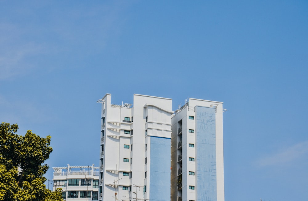 building near tree during day