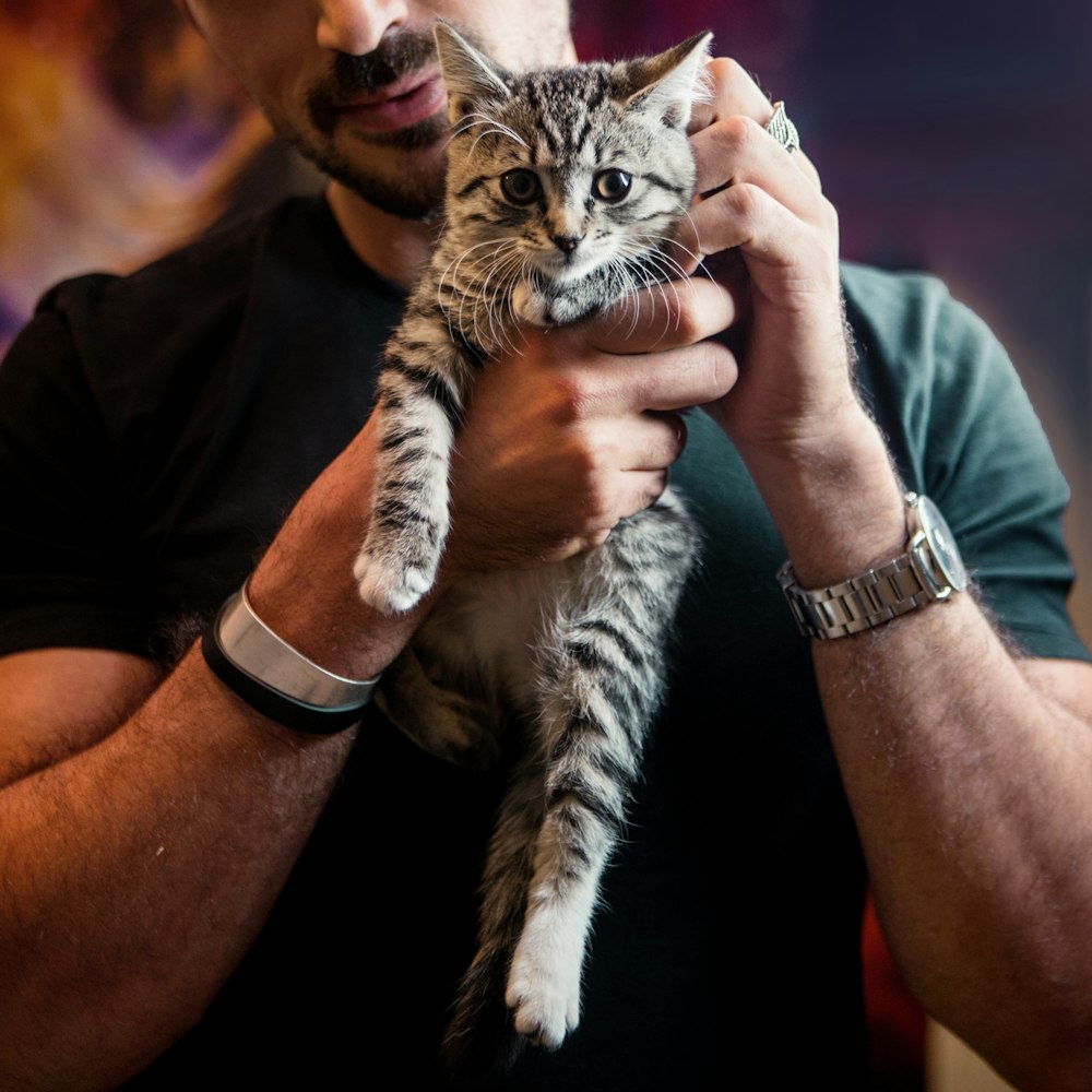 man holding tabby kitten