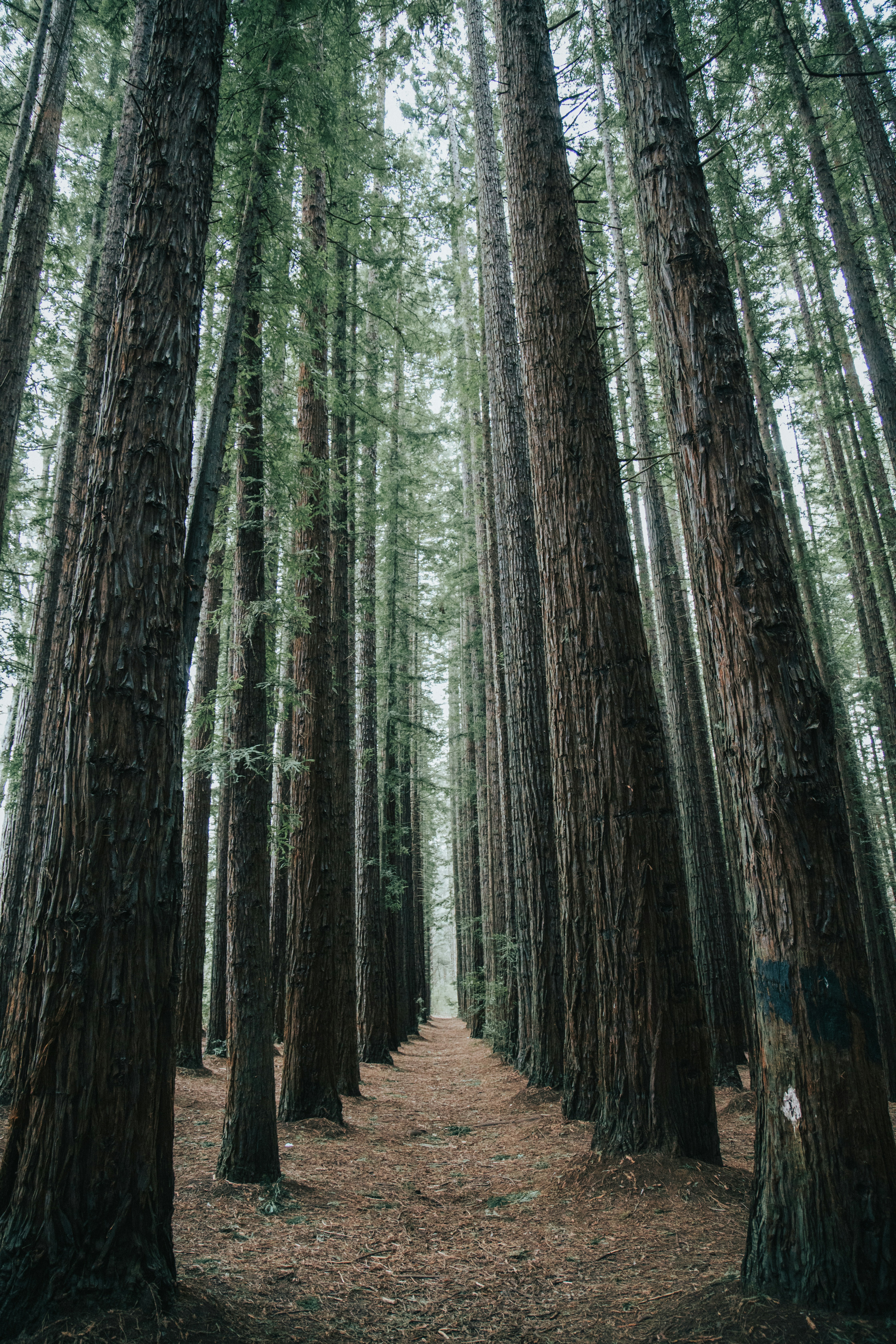 Photo by kellyirenee