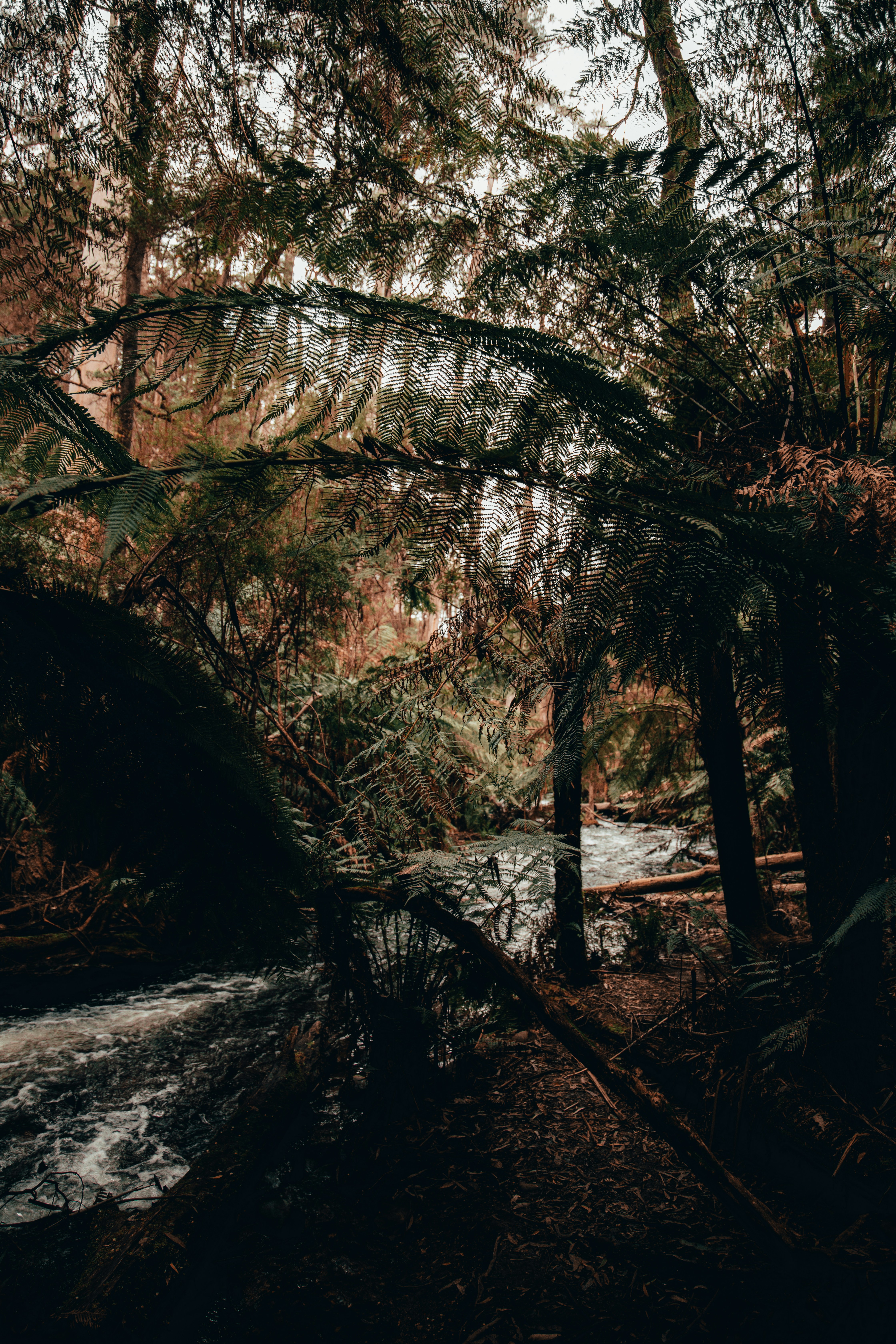 Photo by kellyirenee